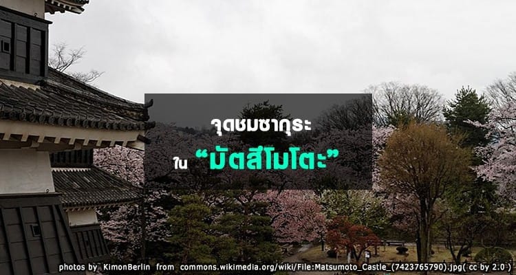 จุดชมซากุระในมัตสึโมโตะ Matsumoto Hanami Spots