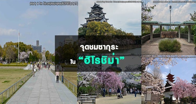 จุดชมซากุระในฮิโรชิม่า Hiroshima Hanami Spots