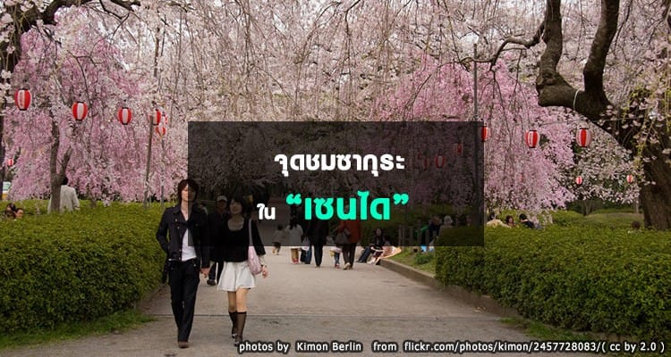 จุดชมซากุระในเซนได Sendai Hanami Spots