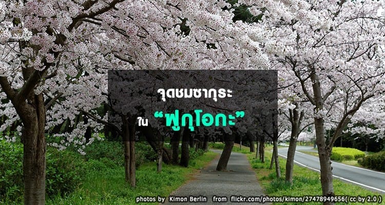 จุดชมซากุระในฟูกุโอกะ Fukuoka Hanami Spots