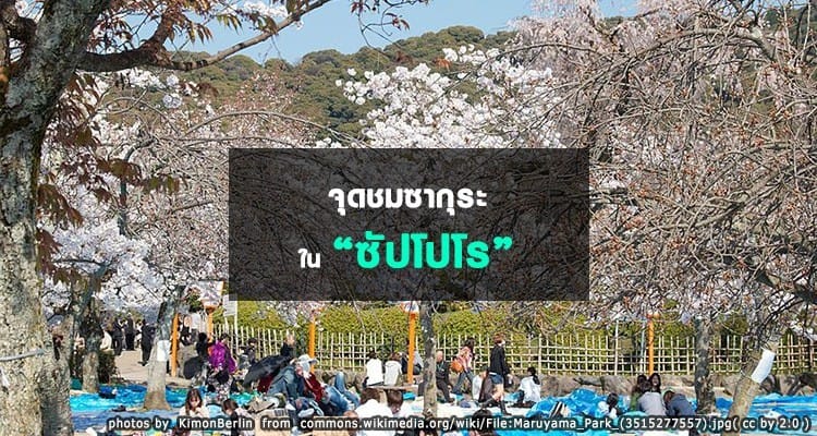 จุดชมซากุระในซัปโปโร Sapporo Hanami Spots