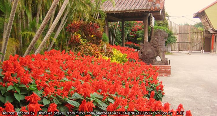 สวนสนุกริวกิวมูระ Ryukyu Mura