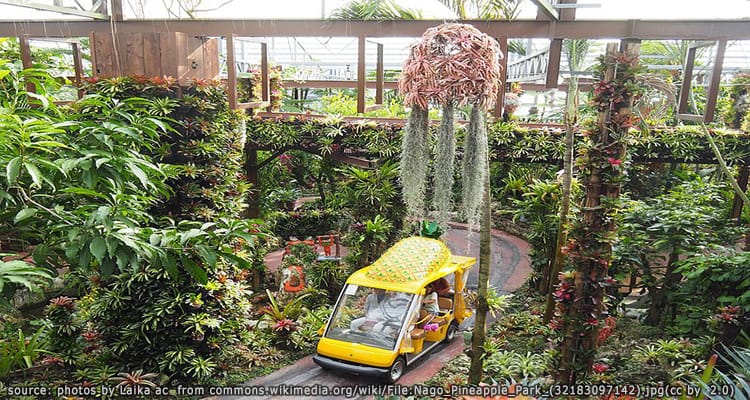 สวนสับปะรดนาโกะ Nago Pineapple Park