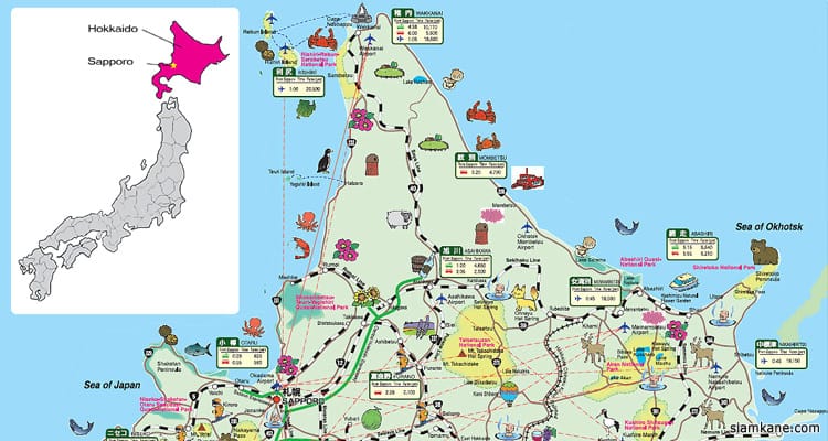 แจกฟรี แผนที่เที่ยวทั่วทั้งเกาะ ฮอกไกโด