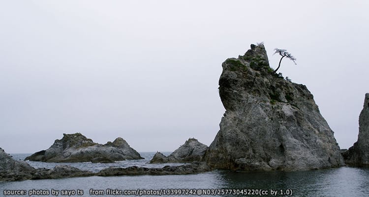 ชายหาดโจโดงาฮามะ Jodogahama Beach