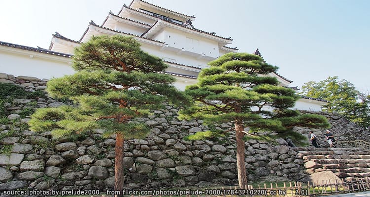 ปราสาทสึรุกะ Tsuruga Castle