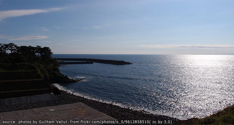 เกาะโอชิมะ Oshima Island