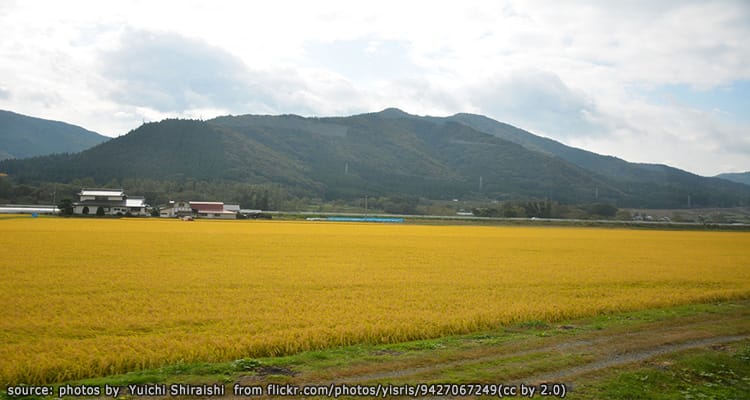 เมืองโตโนะ Tono City