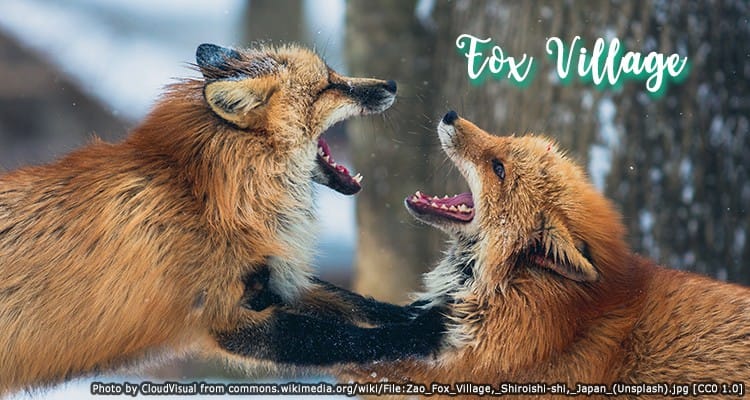 หมู่บ้านสุนัขจิ้งจอกซาโอะ Zao Fox Village