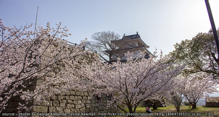ปราสาทมารุกาเมะ Marugame Castle