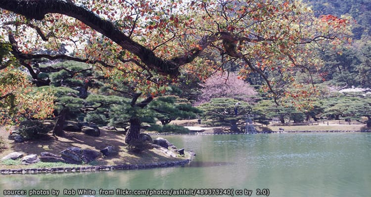 สวนริสึรินโคเอน Ritsurin Koen