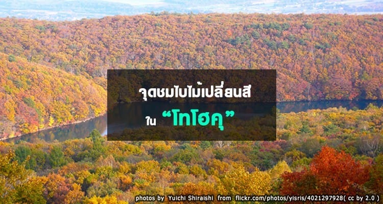 จุดชมใบไม้เปลี่ยนสีในโทโฮคุ Tohoku Autumn leaves Spots