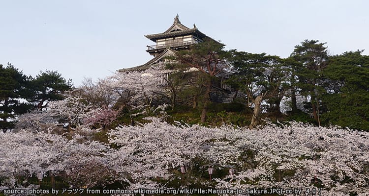 ปราสาทมารุโอกะ Maruoka Castle