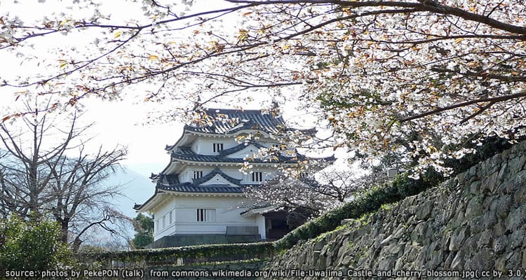 ปราสาทอูวาจิมะ Uwajima Castle