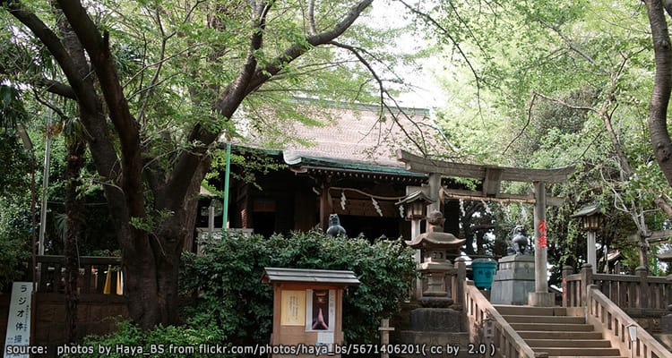 ศาลเจ้าซุวะ – Suwa Jinja