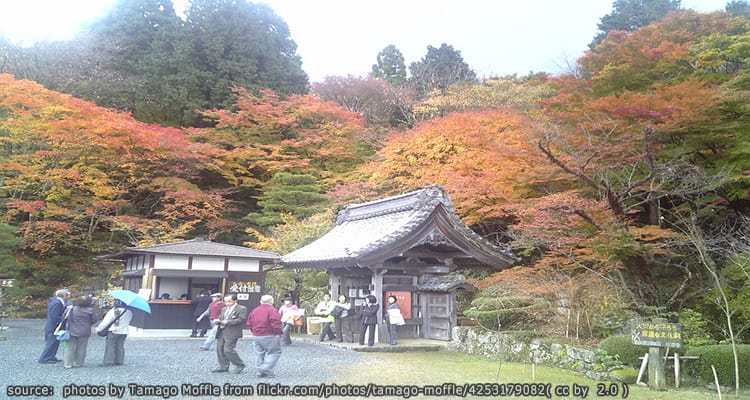 วัดเฮียคุซาจิ Hyakusaiji Temple