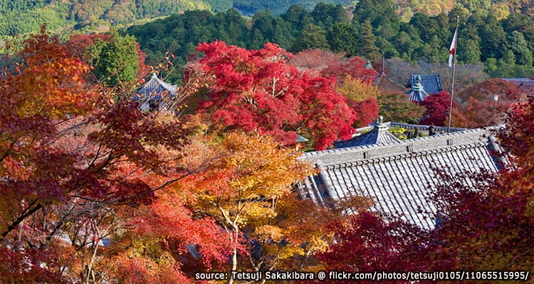 วัดโยชิมิเนะ เดะระ Yoshimine dera Temple