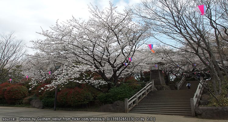 สวนสาธารณะอาสุกะยามะ Asukayama Park