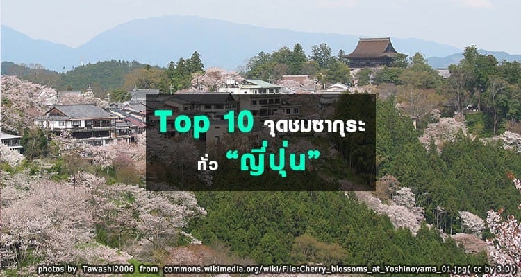 TOP 10 สุดยอดจุดชมซากุระทั่วประเทศญี่ปุ่น
