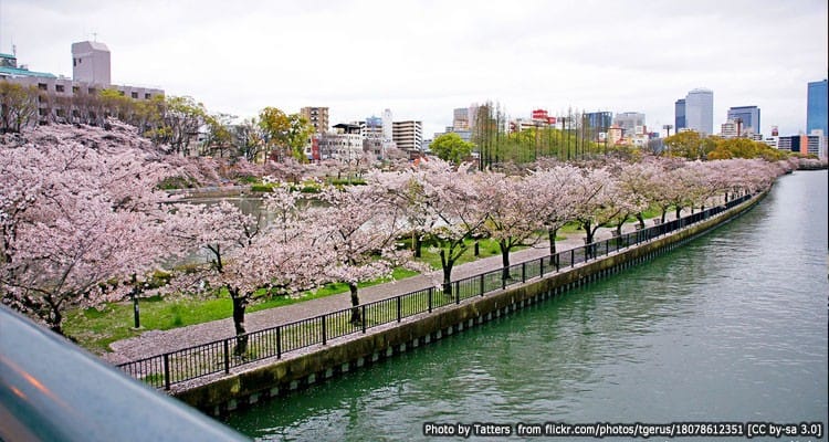 สวนเคมะ ซากุระโนมิยะ(Kema Sakuranomiya Park)