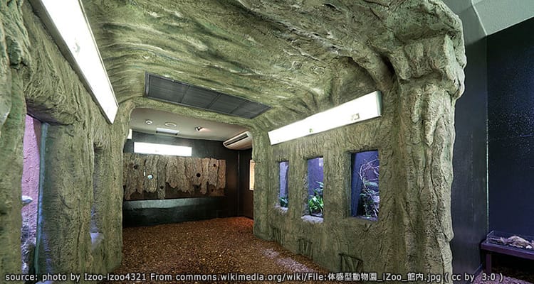 สวนสัตว์เลื้อยคลาน ไอซู Izoo Kawazu