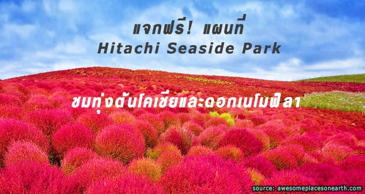 แจกฟรี แผนที่ Hitachi Seaside Park
