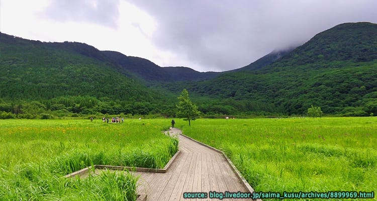 พื้นที่ชุ่มน้ำ ทาเดวะระ Tadewara Wetland
