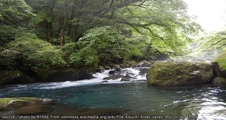 หุบเขาคิคุจิ Kikuchi Gorge