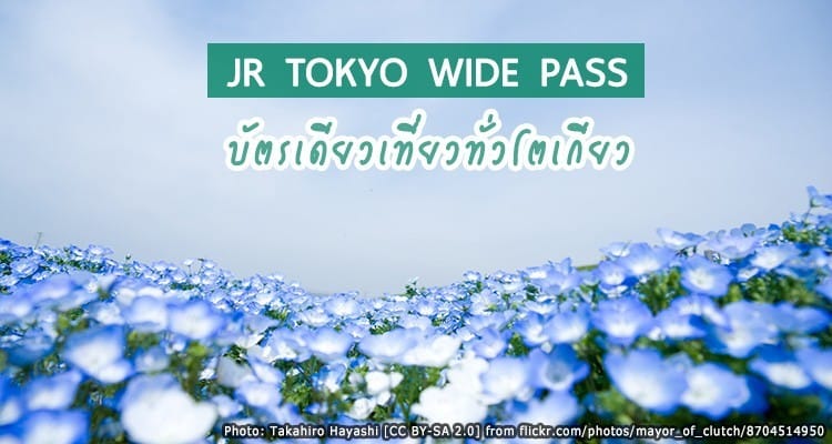 อัพเดตใหม่ JR TOKYO Wide Pass – พาสสุดคุ้ม ใบเดียวเที่ยวทั่วโตเกียว และเมืองรอบๆ