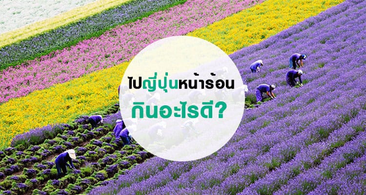 เที่ยวญี่ปุ่นหน้าร้อน กินอะไรดี?