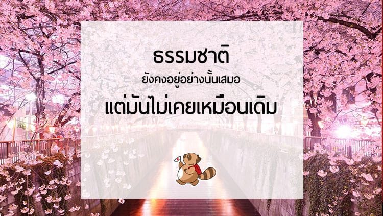 ธรรมชาติยังคงอยู่อย่างนั้นเสมอ…