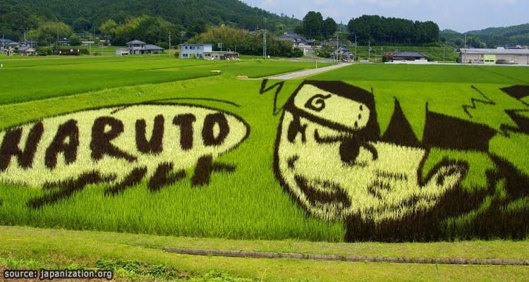ศิลปะบนนาข้าวกับงานเทศกาล Tanbo Art