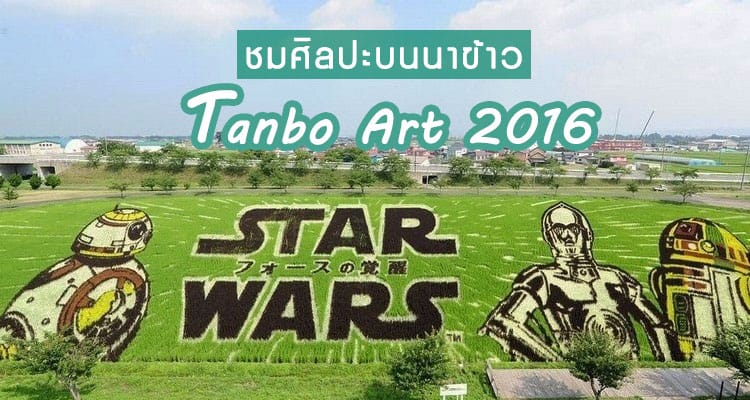 ชมงานเทศกาล Tanbo Art เมือง Asahikawa ปี 2016 ศิลปะบนนาข้าว