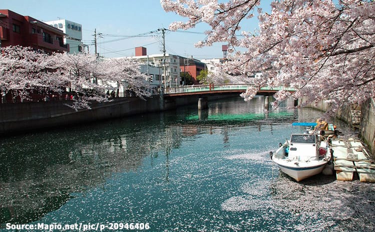สวนริมแม่น้ำโอโอคากาวะ Ookagawa River Park