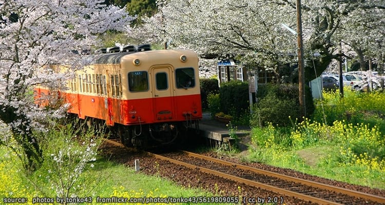ทางรถไฟกลางทุ่งดอกไม้ Kominato Railway