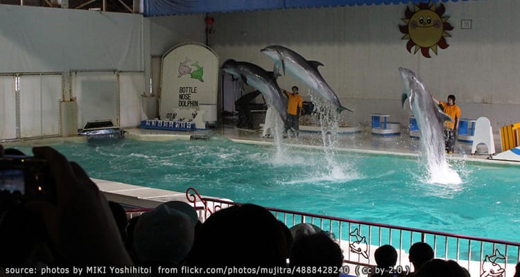 พิพิธภัณท์สัตว์น้ำโอตารุ Otaru Aquarium