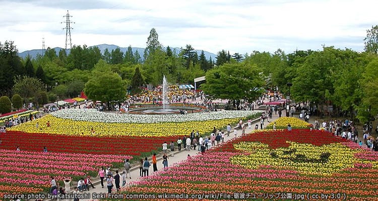 สวนทิวลิป โทนามิ Tonami Tulip Park