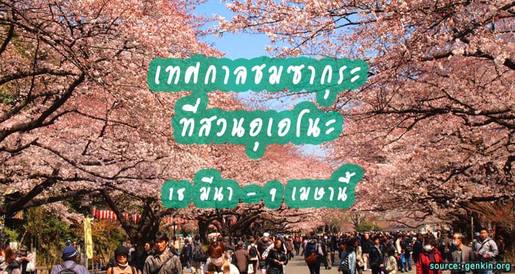 เทศกาลชมซากุระที่สวนอุเอโนะ 18 มีนา – 9 เมษา 2017