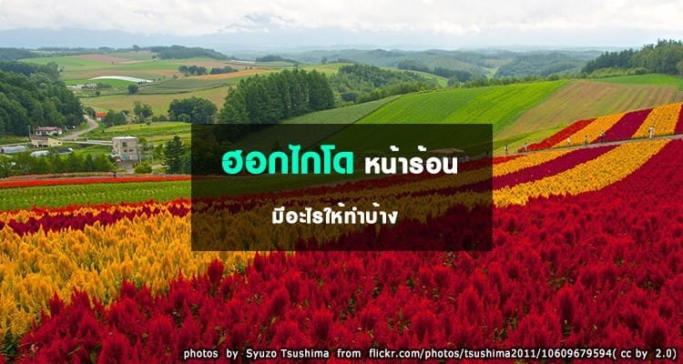 ฮอกไกโดช่วงหน้าร้อนมีอะไรให้ทำบ้าง