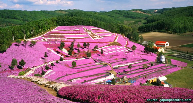 สวนฮิกาชิโมโกโตะ – Higashi Mokoto Shibazakura Park