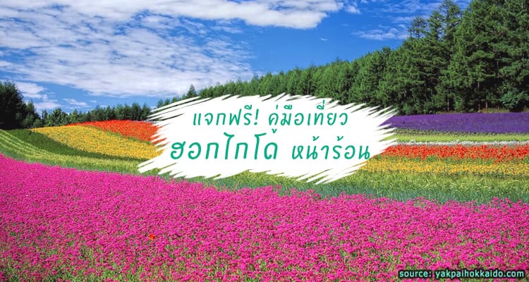 แจกฟรี คู่มือเที่ยวฮอกไกโดหน้าร้อน ที่เด็ดกว่าที่ไหนๆ