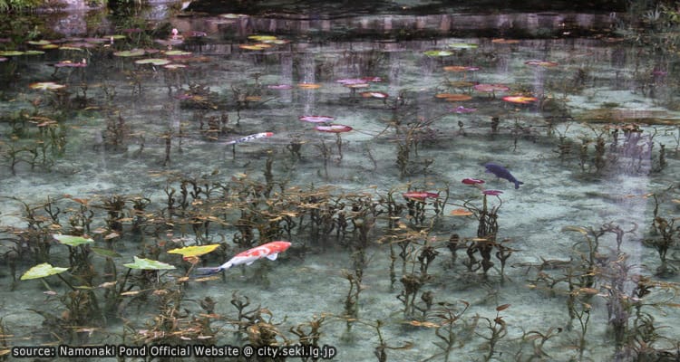 สระน้ำนิรนาม นะโมนากิ (Namonaki Pond – Monet’s Pond)