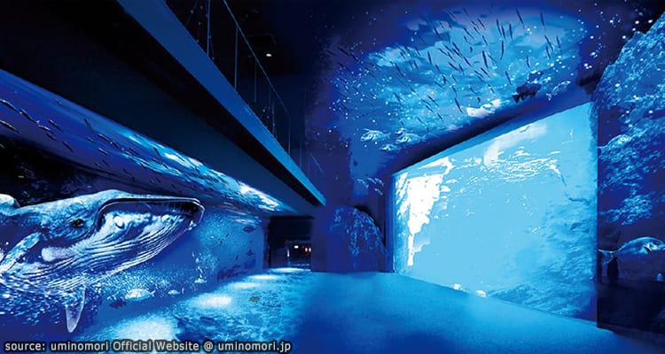 พิพิธภัณฑ์สัตว์น้ำ เซ็นได อุมิโนะโมริ (Sendai Umino-mori Aquarium)