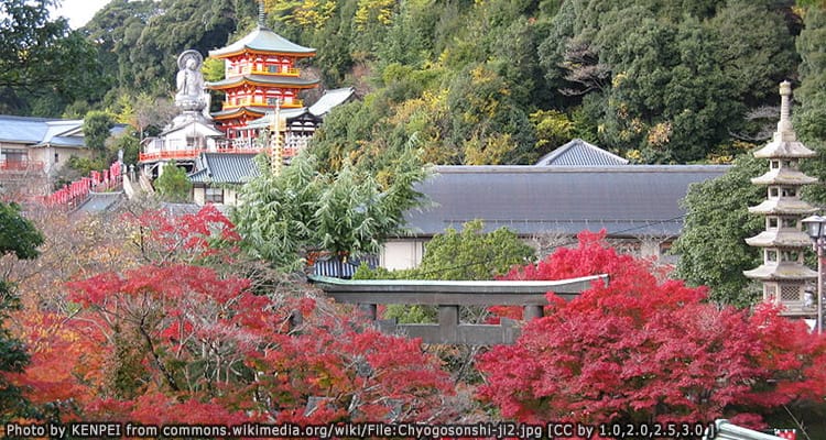 วัดโชโกะซังชิจิ (Chogosonshi-ji Temple)