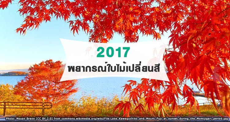 พยากรณ์ใบไม้เปลี่ยนประเทศญี่ปุ่นประจำปี 2017