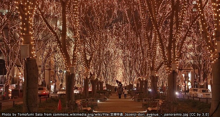 ถนนโจเซ็นจิ โดริ(Jozenji-dori Avenue)