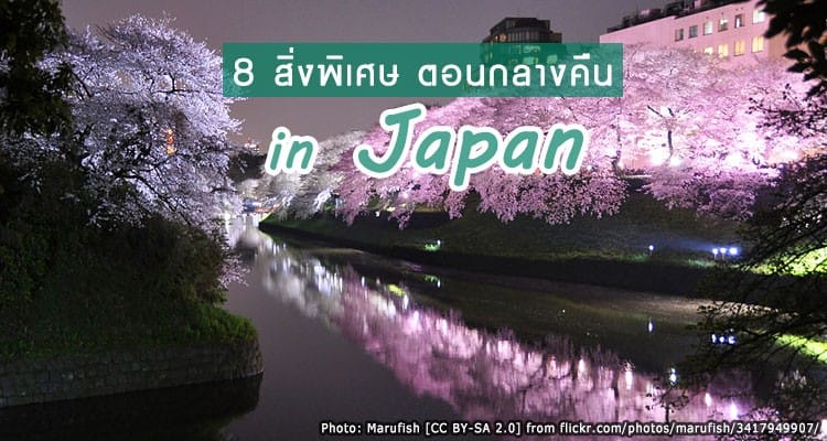 8 สิ่งพิเศษในยามค่ำคืนที่ต้องลอง ของญี่ปุ่น