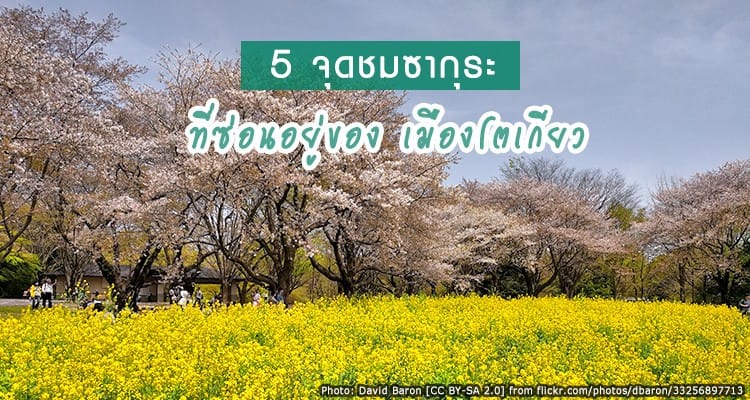 5 จุดชมซากุระที่ซ่อนอยู่กลางเมืองโตเกียว คนไม่เยอะ แต่สวยงามมาก