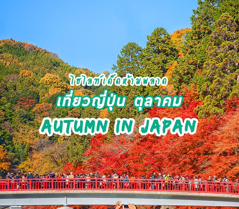 เที่ยวญี่ปุ่น เดือนตุลาคม เป็นยังไง ไฮไลท์เด็ดห้ามพลาด และที่เที่ยวเด็กเจ๋งๆ