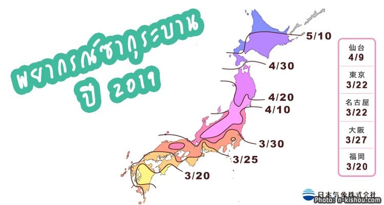 2019 Sakura Forecast พยากรณ์ซากุระบานปี 2562 อัพเดต วันที่ 10 มกราคม